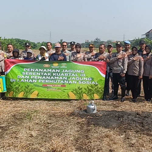 Kampus Berdampak, UMAHA Berikan Pendampingan Pada Petani Jagung Desa Pamotan Kecamatan Porong Kabupaten Sidoarjo